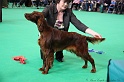 Crufts2011 155